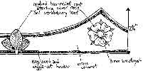 working drawing of coronet